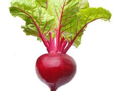 治疗胰腺炎的蔬菜